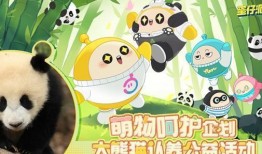 蛋仔熊猫爆料视频大全,揭秘游戏幕后故事与精彩瞬间