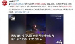 老外爆料病毒视频,老外爆料视频揭示惊人内幕