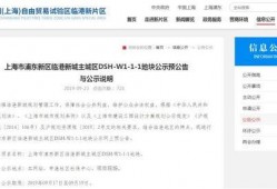 西岛最新官方爆料,最新爆料揭示神秘面纱下的真实世界