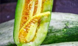 保定网红王吉吃瓜,揭秘娱乐圈幕后故事