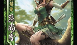 三国杀最新动态皮肤爆料,华丽变身，再现经典英雄风采