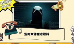 最新章节 神秘爆料人,神秘爆料背后的真实世界